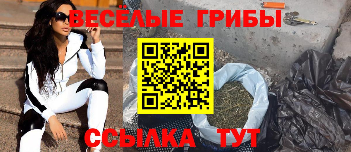 Псилоцибиновые грибы мухоморы Конаково