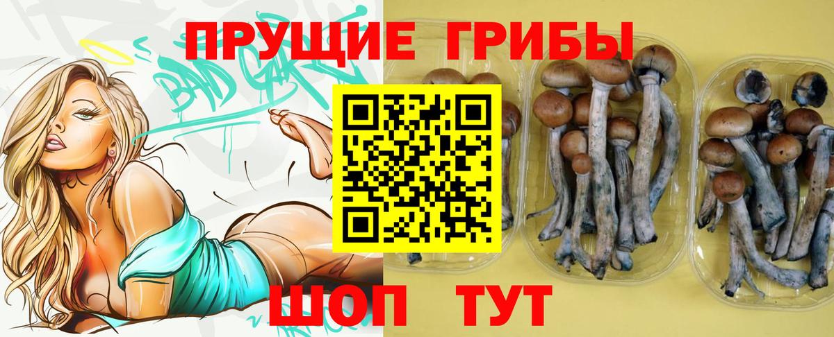 Галлюциногенные грибы Cubensis  Вход с VPN  Конаково 